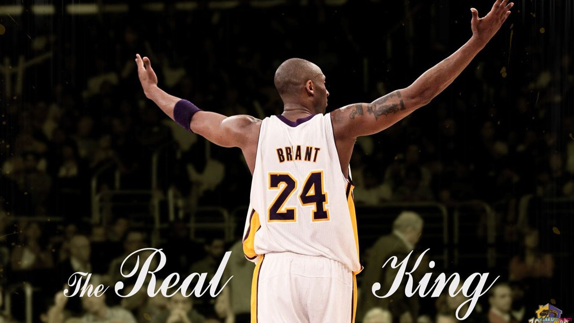  欧冠八强战激情夜！爱德华兹里突外投，圣安东尼奥马刺鏖战广州队